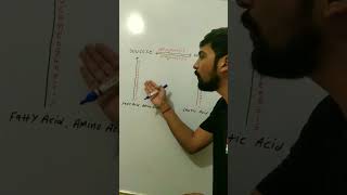 Overview Of Glycogenesis Glycogenolysis Glyconeogenesis Gluconeogenesis biochemistry dadhichsir [upl. by Ylicic]