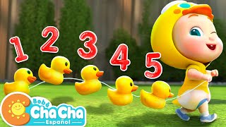 Cinco Patitos🦆  Aprender Números del 1 al 5  Bebé ChaCha Canciones Infantiles amp Videos para Niños [upl. by Cyrilla]