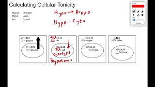 5 Osmosis and Tonicity Calculations [upl. by Nomrah286]