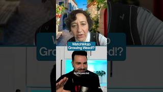 Kristen Schaal amp Ken Jeong Roast WatchMojo Interviewer 🍃 [upl. by Forcier]