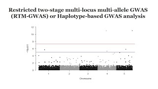 Haplotypebased GWAS analysis using rtmgwas software A quick GWAS tutorial [upl. by Ihcekn]