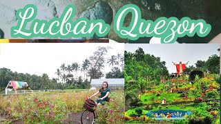 LUCBAN QUEZON TOUR PHILIPPINES [upl. by Dnalyram]