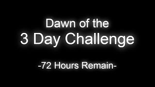 the 3 Day Challenge Run  Majoras Mask [upl. by Ecnal470]