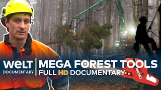 TREACHEROUS TIMBER  Loggers And Their Mega Tools  Full Documentary [upl. by Atineb]