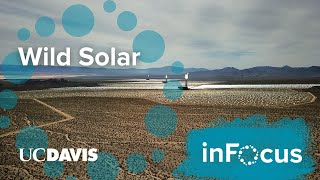 How Solar Energy Impacts the Surrounding Environment [upl. by Margalit673]