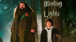 Harry Potter  Blinding Lights RIP robbiecoltrane [upl. by Ecnerret]