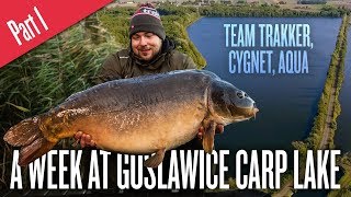 Carp Fishing In Poland  A Week at Goslawice Carp Lake  Part 1 EU Subtitles Available [upl. by Nimaynib]