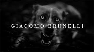 How To Do Animal Street Photography Like Giacomo Brunelli [upl. by Trebleda]