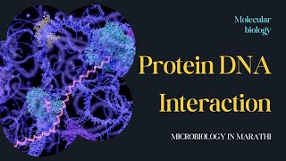 Protein DNA Interaction  Molecular biology  Microbiology in Marathi [upl. by Caldera647]