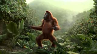 funny chimpanzee dancing after drinking orange juice [upl. by Bander]