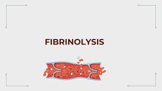 ASCP  MLS  MLT  Part 2  Normal Hemostasis and Coagulation [upl. by Fitzgerald]