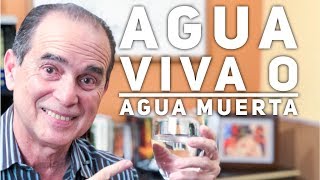 Episodio 1383 Agua Viva o Agua Muerta [upl. by Pittman192]