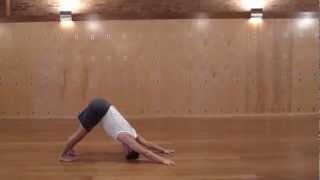 Iyengar Yoga Class Sequence Nov2412 1 [upl. by Jaquith]