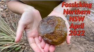 Fossicking in Northern NSW April 2022 [upl. by Aire870]