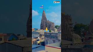 Jay Dwarkadhish 🙏 Dwarka WhatsApp status 🙏😊viral dwarka india trending shyam viral 💐🌷🌹 [upl. by Novi385]