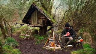 Building wood survival shelter in wildlands  Bushcraft amp Campfire grilled meat [upl. by Levona]