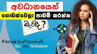 අවධානයෙන් පාඩම් කරන්නේ මෙහෙමයි How to focus on studying in Sinhala  Deep Work Technique Study Tips [upl. by Aronle]