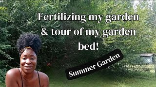 Organic Gardening Gold Boosting Plant Growth with Fish Fertilizers [upl. by Shriner]