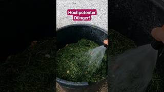 3 Möglichkeiten Rasenschnitt im Garten sinnvoll zu nutzen [upl. by Oicaro]