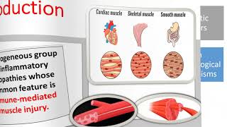 Idiopathic inflammatory myopathies  part 1 [upl. by Esme]