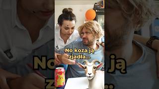 Gdzie się podziała koza 🐐 😂 Zobacz co narysował Maciuś śmieszne rodzinka suchary [upl. by Aknaib]