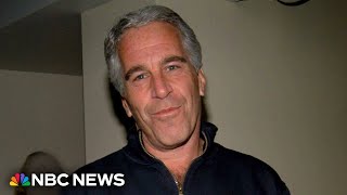 Newly unsealed documents reveal Jeffrey Epstein’s relationships with powerful people [upl. by Ayoted]