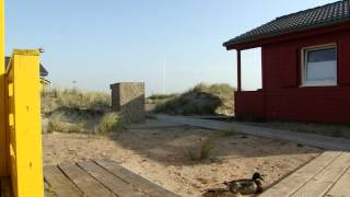 Blick von den neuen Urlaubs Bungalows auf der Düne Helgoland [upl. by Coop]