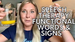 TEACHING FUNCTIONAL WORDS amp SIGNS THROUGH REQUESTING At Home Speedy Speech Therapy For Late Talkers [upl. by Bidget]