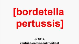 Pronounce Bordetella pertussis  SpeakMedical [upl. by Ayifa668]