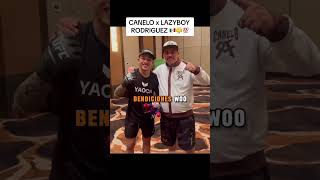 Canelo LAzy Boy 💪🥊🫡🇲🇽 [upl. by Wavell695]