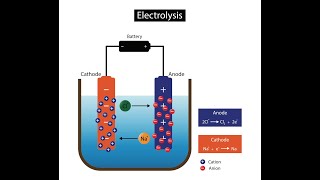 Using Electrolysis To Extract Metals GCSE Chemistry [upl. by Katharyn744]