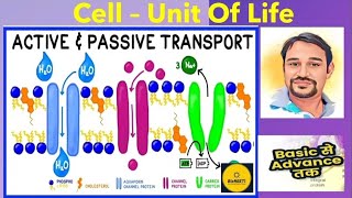 Transport Across Cell Membrane  Active amp Passive NCERT CBSE Class 11 NEET [upl. by Hilaria]