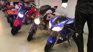 All kinds of Mini Sports bikes [upl. by Heiner292]