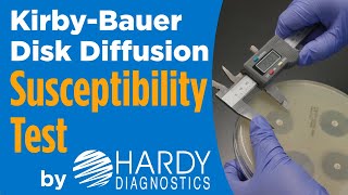 How to do a KirbyBauer Disk Diffusion Antimicrobial Susceptibility Test [upl. by Ortrud]