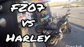 Yamaha FZ07 vs Harley Davidson Sportster [upl. by Arikat]