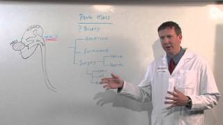 Treatments for Kidney Tumors  Kenneth Nepple MD [upl. by Tannenwald489]