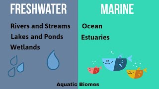 Aquatic Biomes [upl. by Aivekal903]