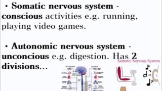 Animal Responses  ALevel A2 Biology Revision [upl. by Enillebyam593]