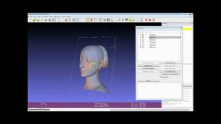 3D Scanning Alignment [upl. by Ynalem]