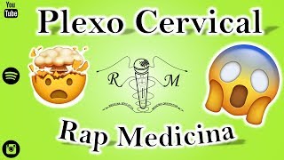 Plexo Cervical  Rap Medicina  R4 [upl. by Gui]