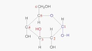 グルコース鎖状構造→環状構造 [upl. by Antonio]