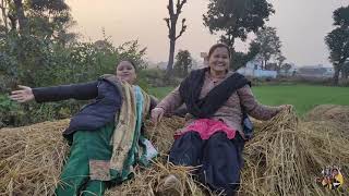 देहरादून के बासमती चावल  Dehradun ke basmati chawal  Uttarakhand [upl. by Naujak]