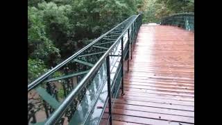 23  Hochwasser an der SCHWECHAT  über die Fußgängerbrücke  13092024 [upl. by Ahsikin]