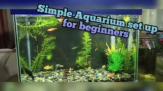 Simple aquarium set up for beginners [upl. by Ten340]