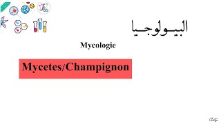 درس ميكولوجي  L3  Microbiologie Mycologie MycetesChampignon [upl. by Ahsillek219]