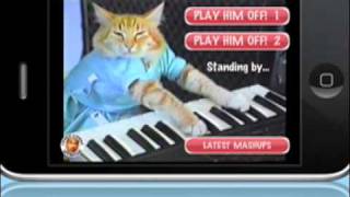 Keyboard Cat iPhone App [upl. by Dulla87]