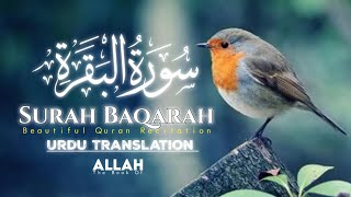 Beautiful Surah Recitation  Surah Baqarah with Urdu Translation [upl. by Daub]