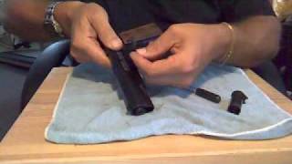 Chiappa 191122 Field striping demo [upl. by Aihsoem373]