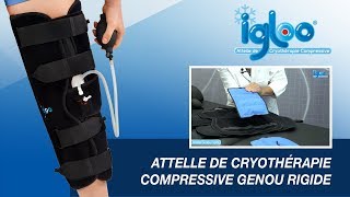 Igloo Attelle rigide de cryothérapie compressive pour le genour [upl. by Sophy]