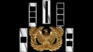 What is the difference between a Warrant Officer and Regular Commissioned Officer [upl. by Emorej]